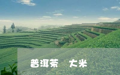 普洱茶 大米/2023042857611